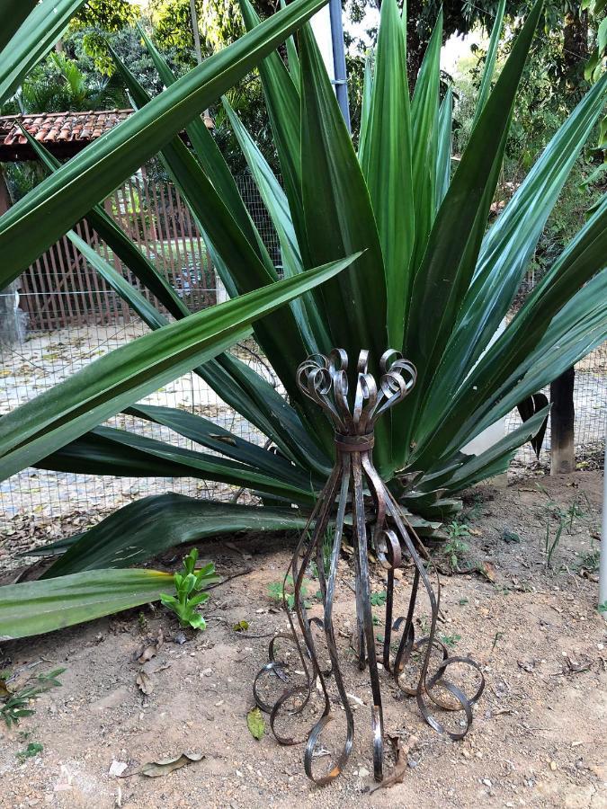 Bed & Breakfast Vila Glaura Glaura